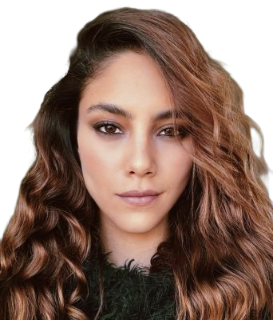 Dilin Doger